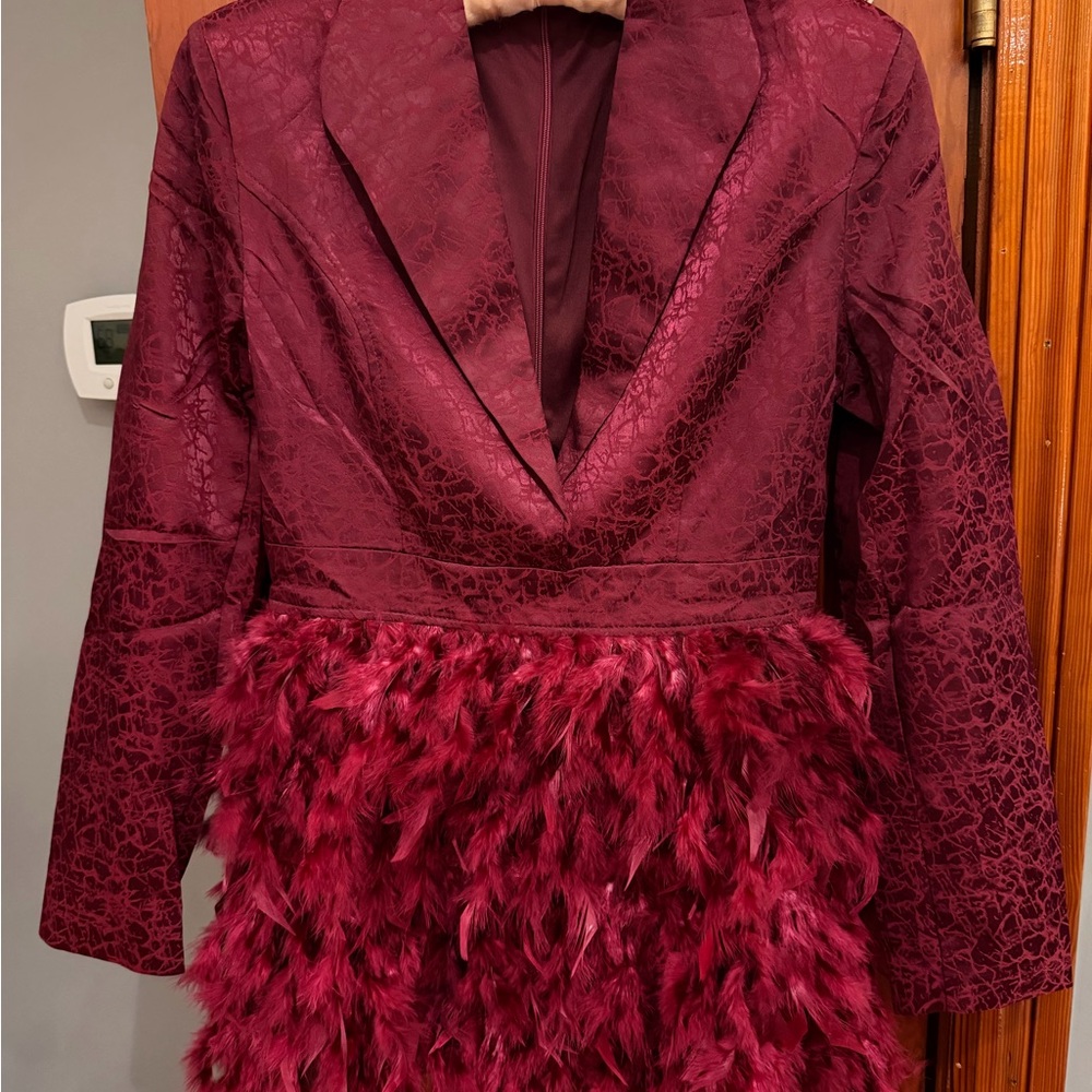 Women's Mini Dress in Burgundy with Feather Skirt